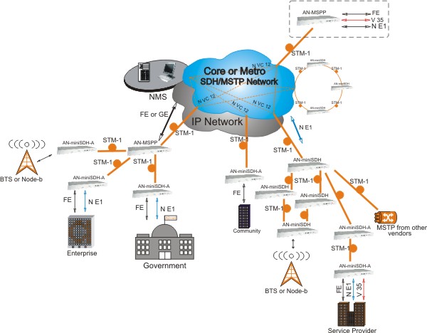 AN_MSPP_scheme.jpg